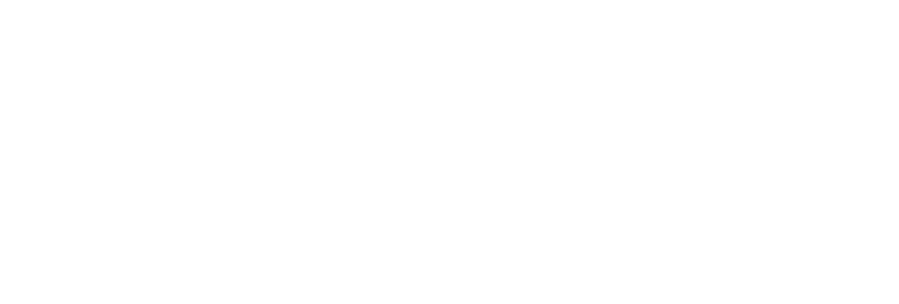 SRM Car Premium