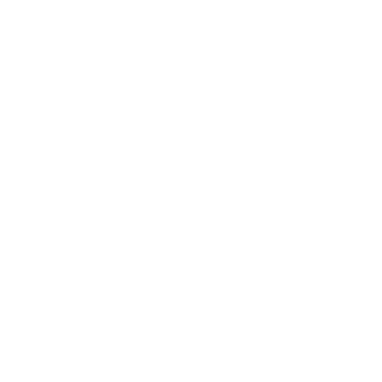 Logo BMW — marca atendida pela SRM Car Premium